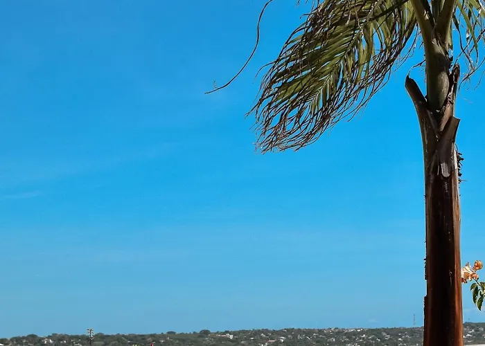 El Mirador